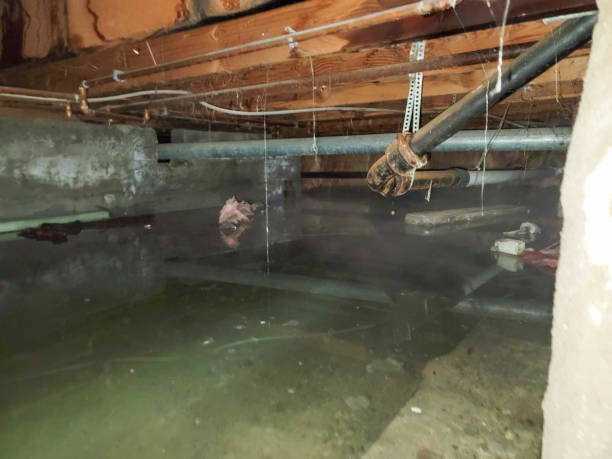 Best Sewage cleanup and water damage restoration  in Manchester, WA