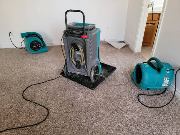 Best Fire Damage Restoration  in Manchester, WA