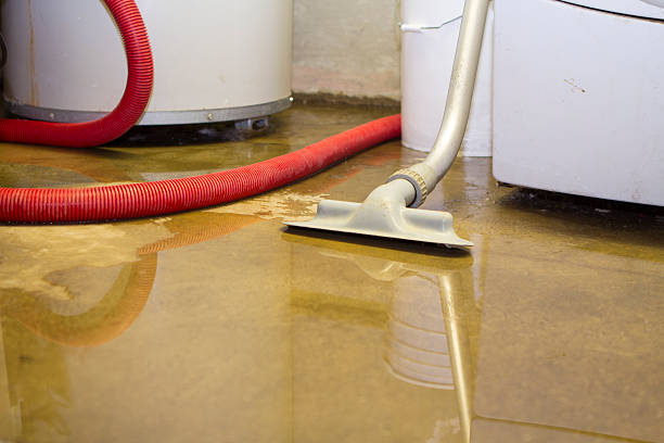 Best Water damage restoration near me  in Manchester, WA