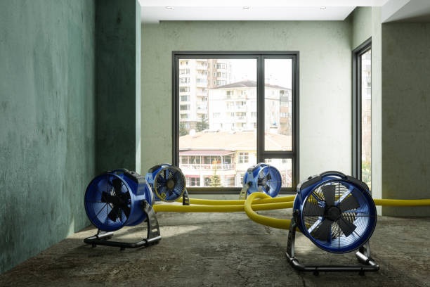 Trusted WA Water damage restoration Experts